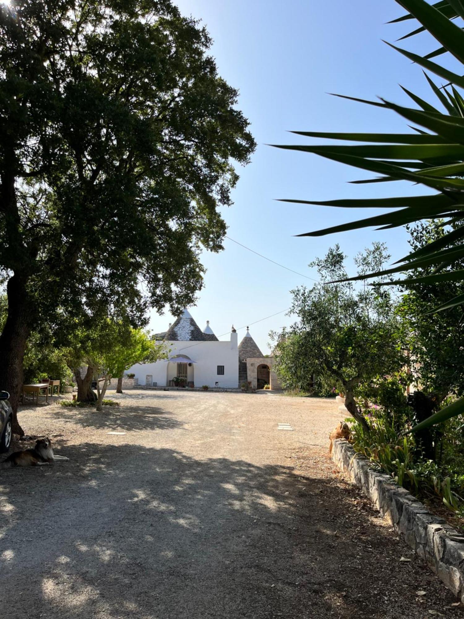 Borgo Miceli Da Giovanni Locorotondo Exteriör bild